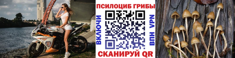 Галлюциногенные грибы GOLDEN TEACHER Купить Микунь
